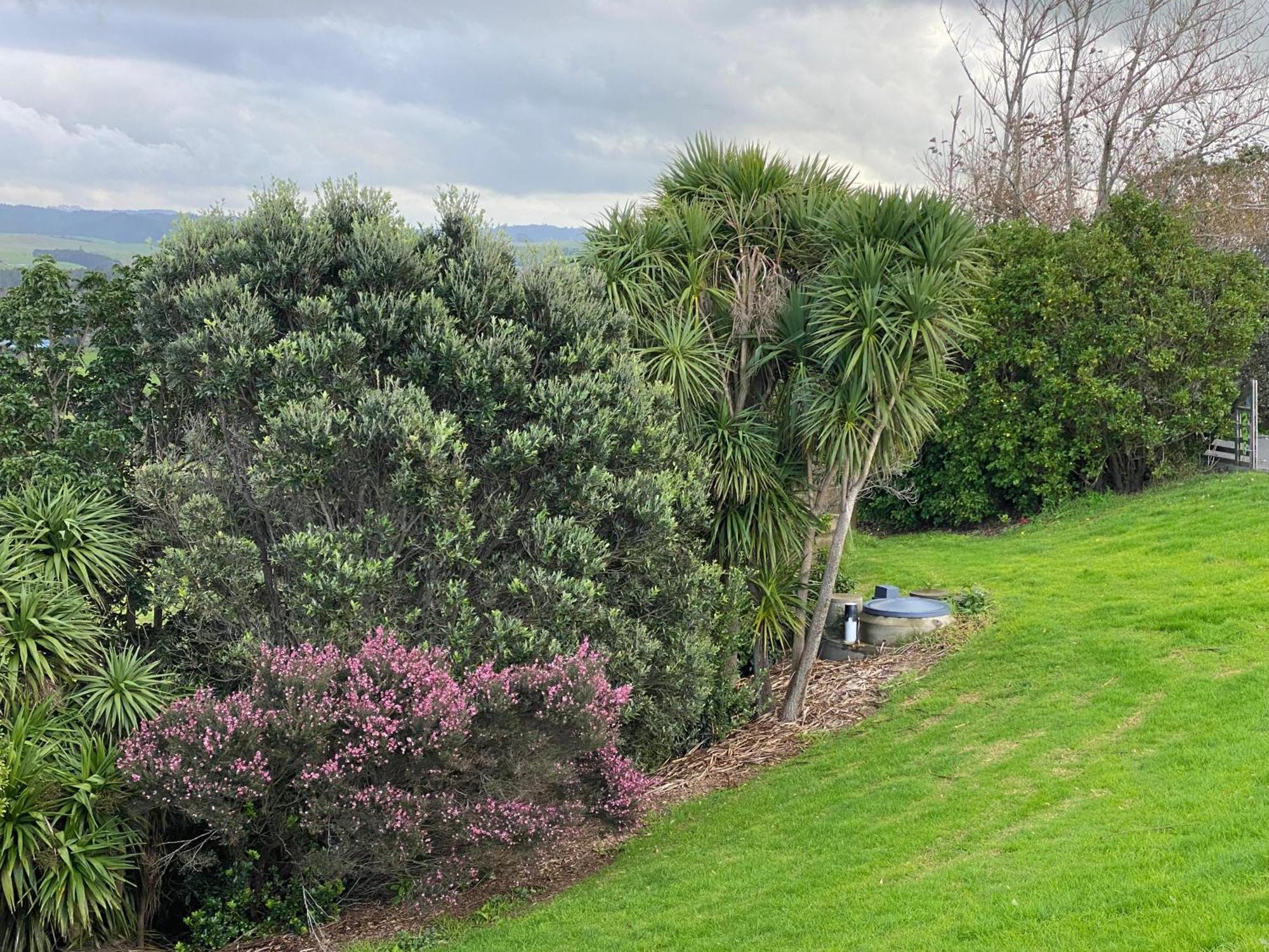 Moko Hiwi Escape - Kotare Suite Ruakaka Exterior foto